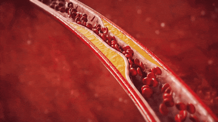 COD单页系统建站,联系QQ:494906791/微信:Cod_web